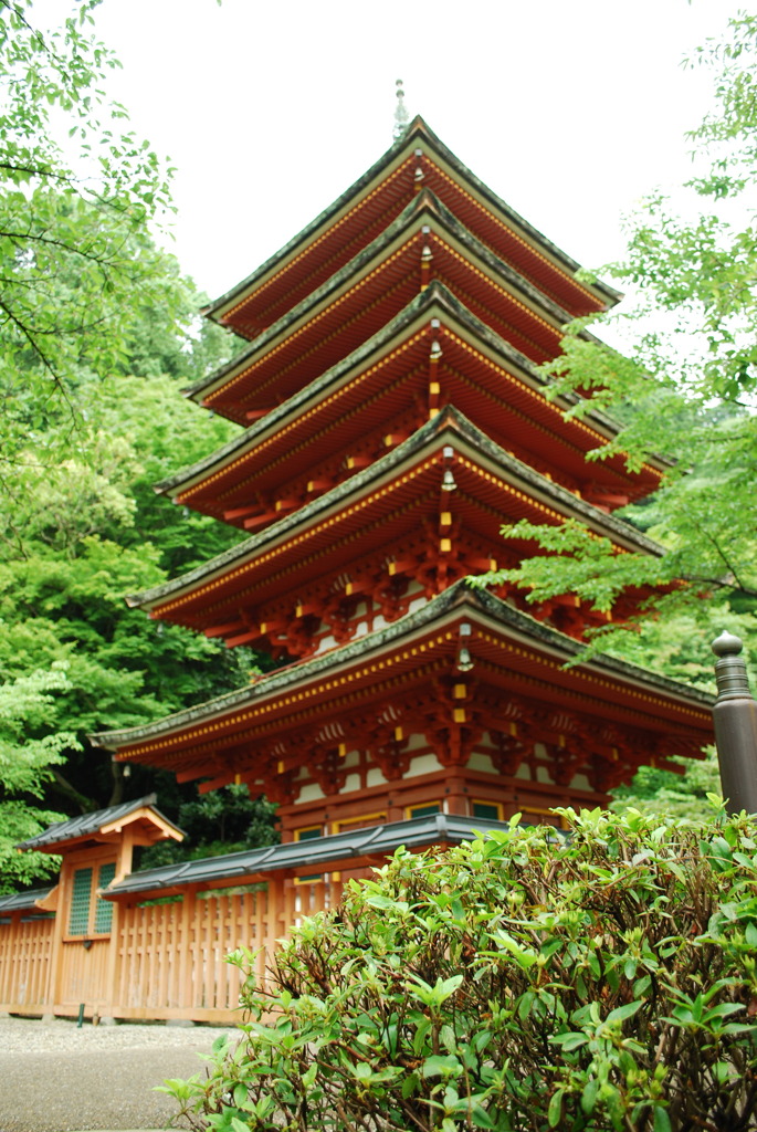 長谷寺　五重塔