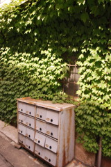 路地裏