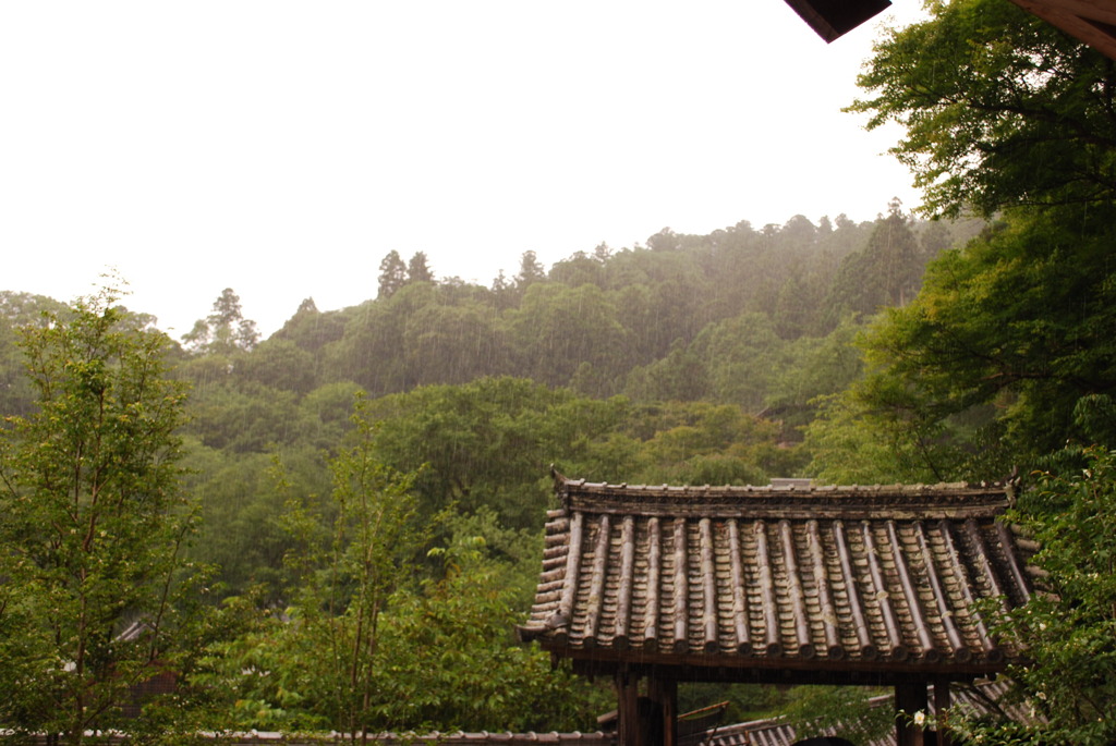突然の雨