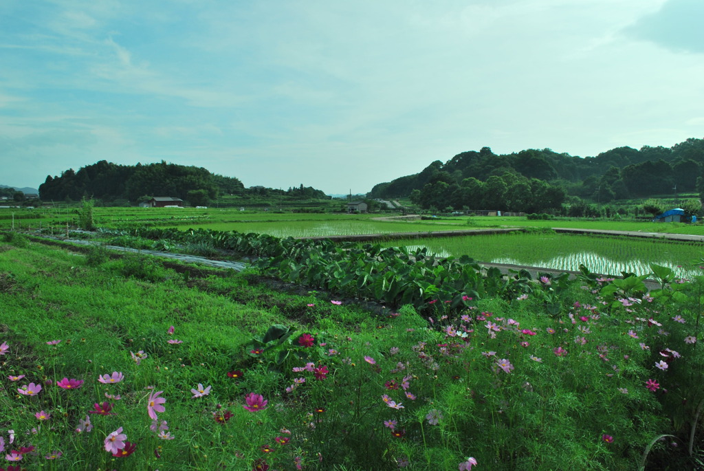 飛鳥の風景　１