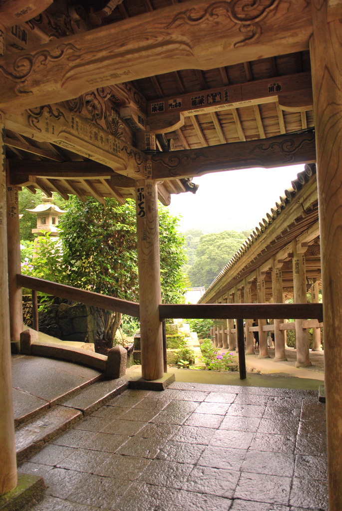 雨上がり長谷寺