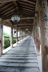 長谷寺　石段