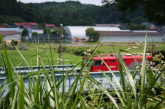 田園地帯