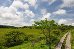 八島ヶ原湿原