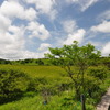 八島ヶ原湿原