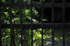 日本庭園