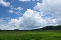 八島ヶ原湿原