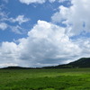 八島ヶ原湿原