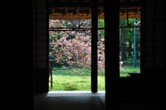 春風