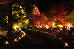 紅葉祭り