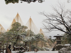 兼六園（ことじ灯篭、唐崎松）