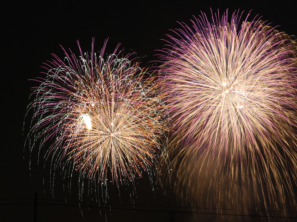 北國花火川北大会2010_11