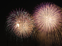 北國花火川北大会2010_11