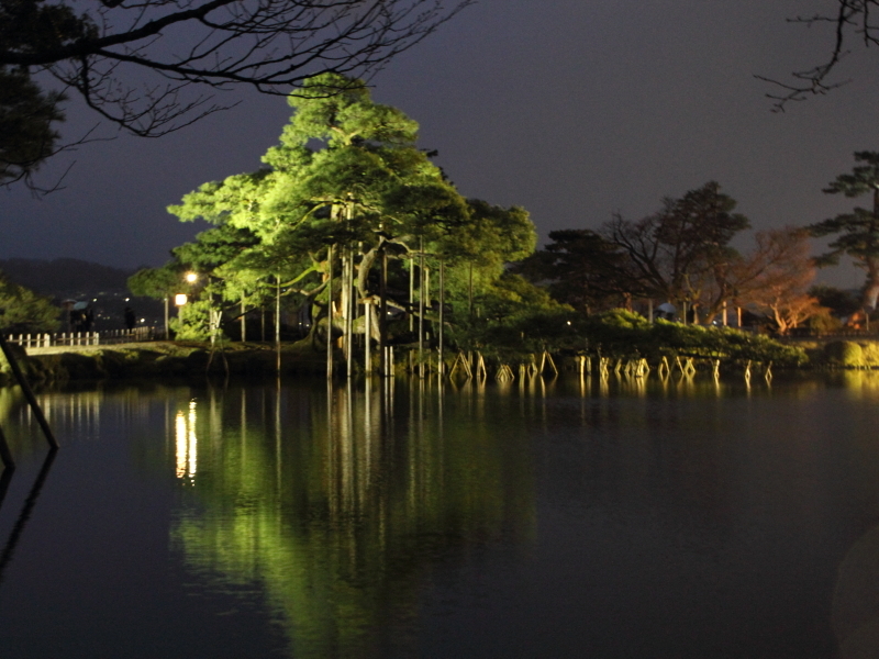 兼六園　春のライトアップ２