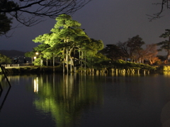 兼六園　春のライトアップ２