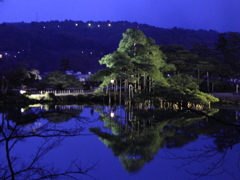兼六園　春のライトアップ１