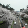 石川門より