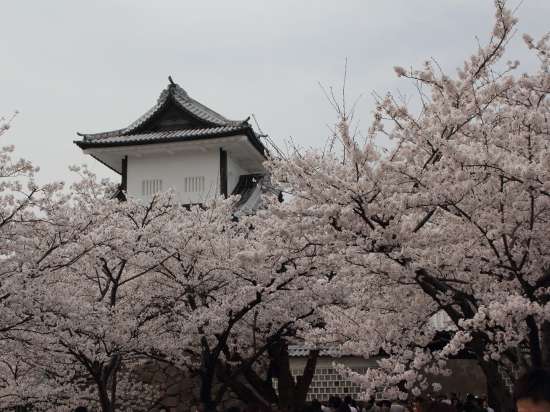 金沢城3