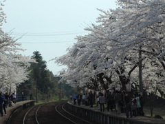 能登かしま駅～能登さくら駅～９