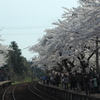 能登かしま駅～能登さくら駅～９