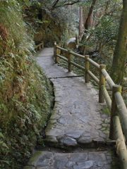 鶴仙渓遊歩道