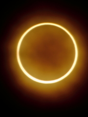 金環日食8