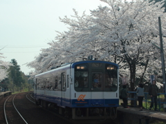 能登かしま駅～能登さくら駅～１１