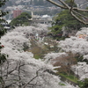 金沢城辰巳櫓より
