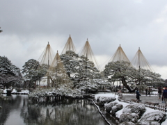 兼六園（唐崎松4)