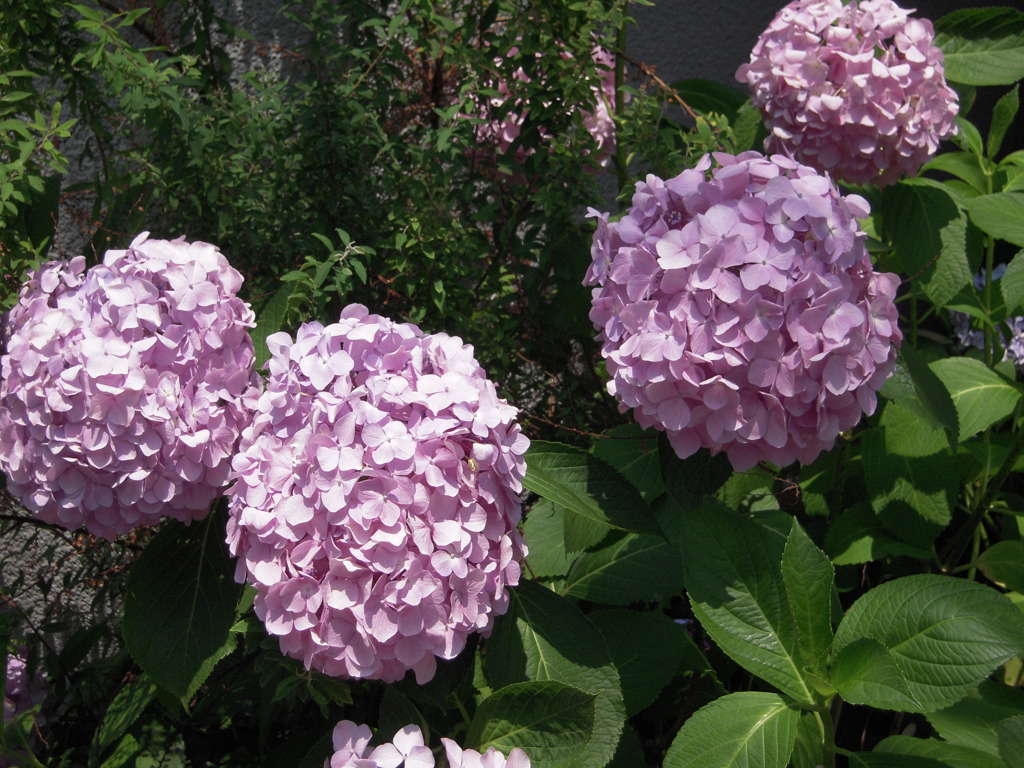 DSCN0110