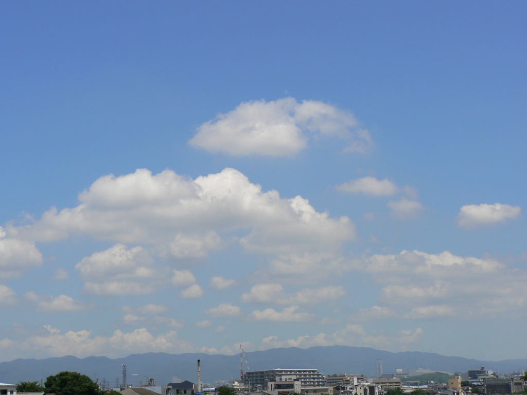 夏の日の昼間