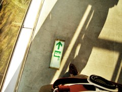 Where will I go?