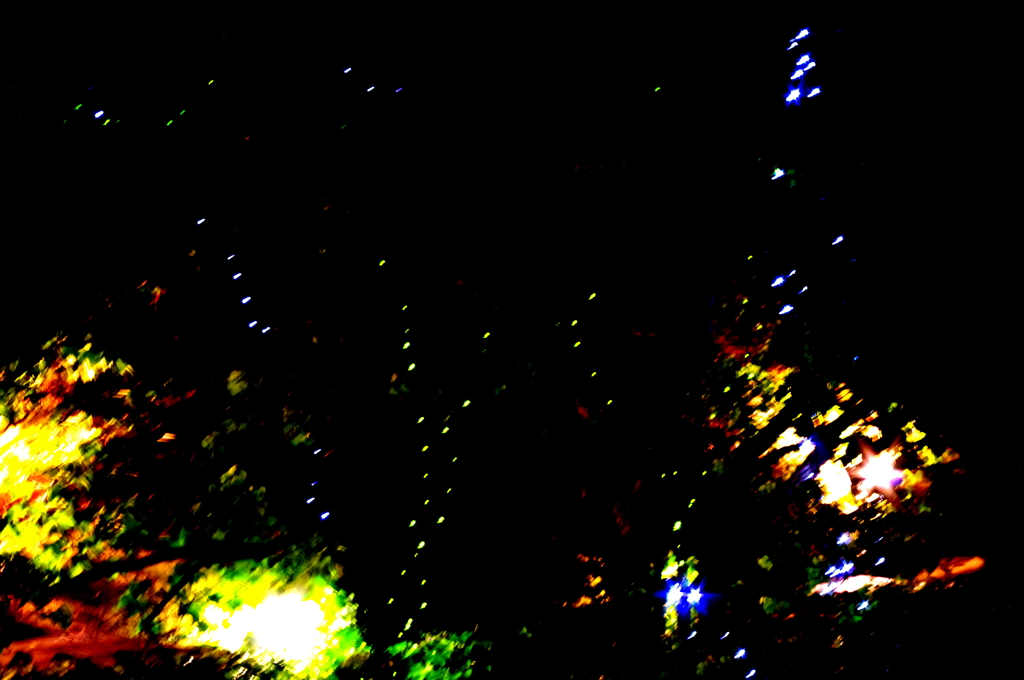 IMGP0102