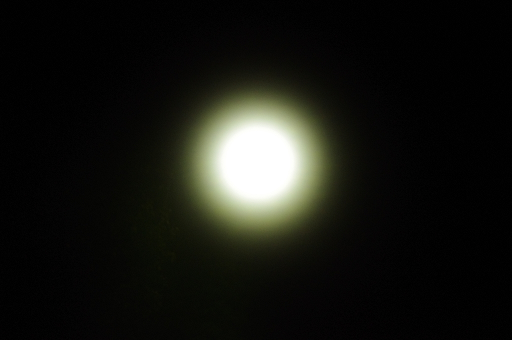 IMGP0023