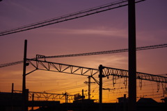 夕日　と　電線