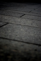 IMGP9641