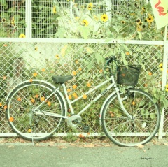 自転車に咲く花