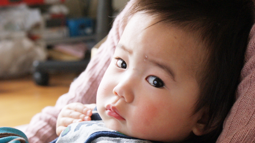 去年会った甥っ子。今年はどんな顔をしてるのかきになります。