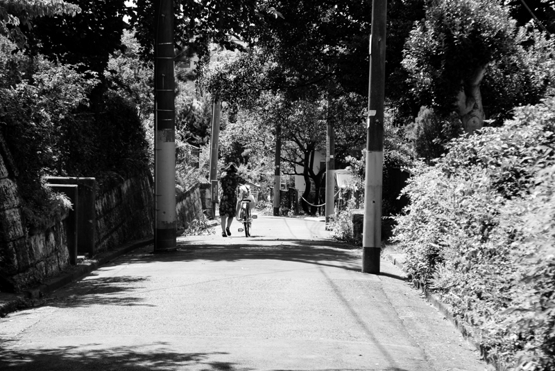 若き日の母の背中