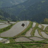 土佐天空の郷　八畝の棚田