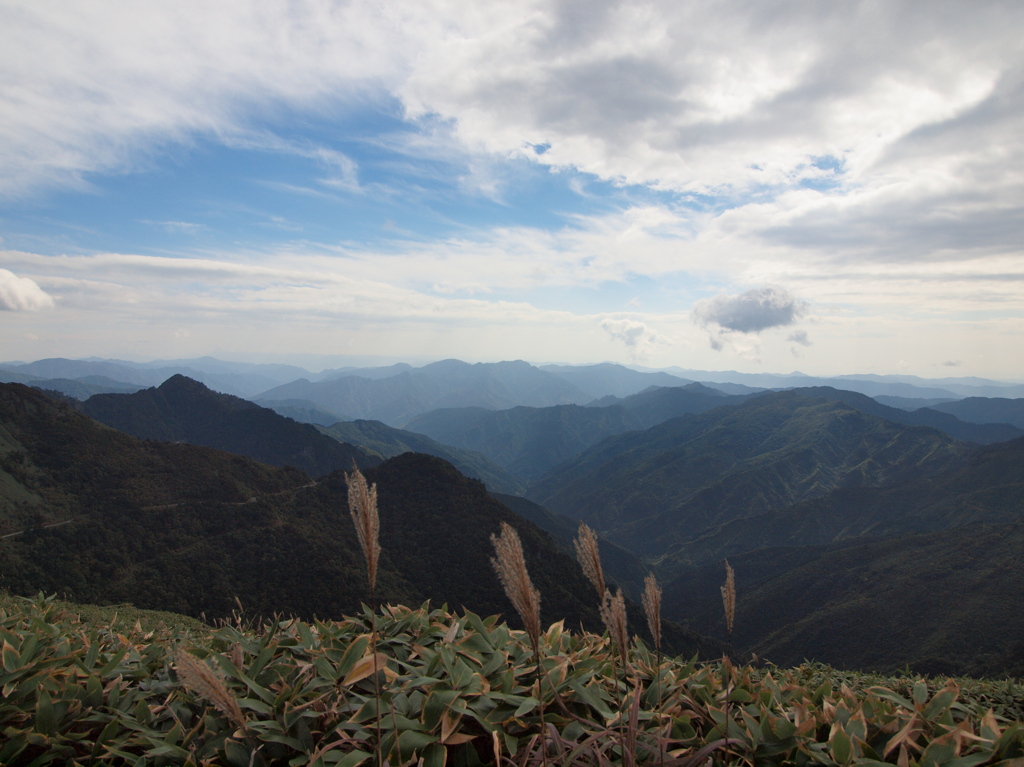 東黒森Ⅱ