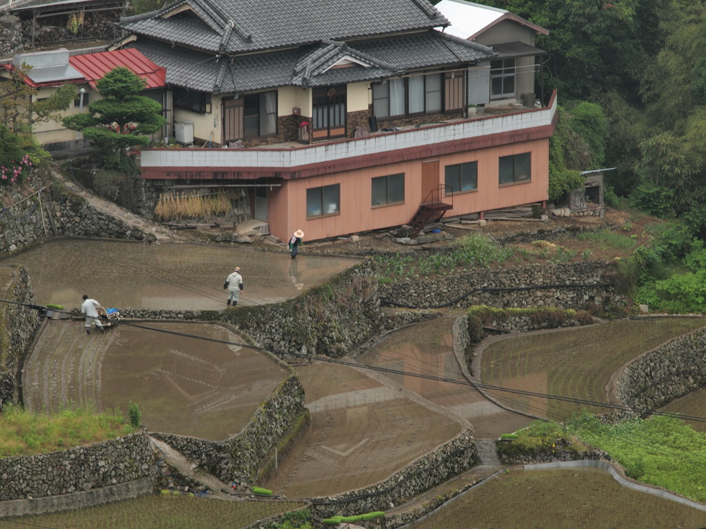 棚田巡り 