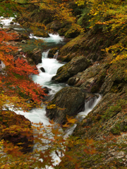 深山の秋