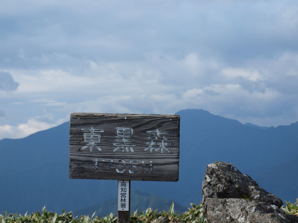 瓶ヶ森林道沿い