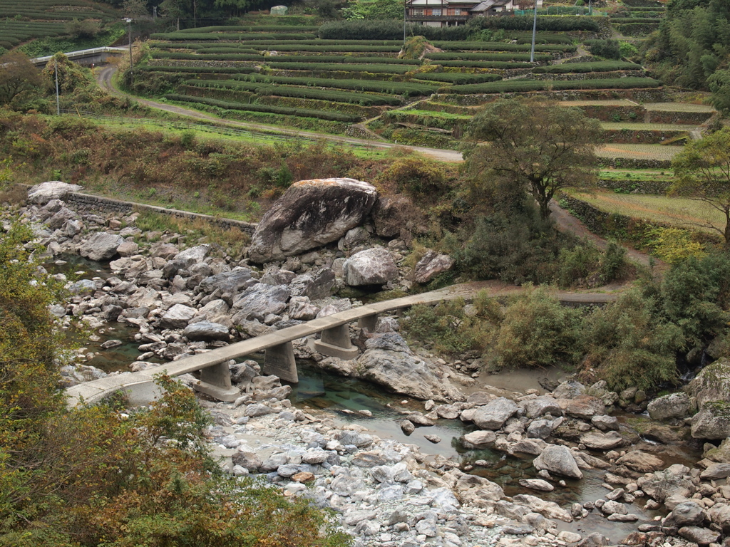 茶畑と沈下橋