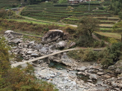 茶畑と沈下橋