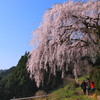 春爛漫の仁淀川