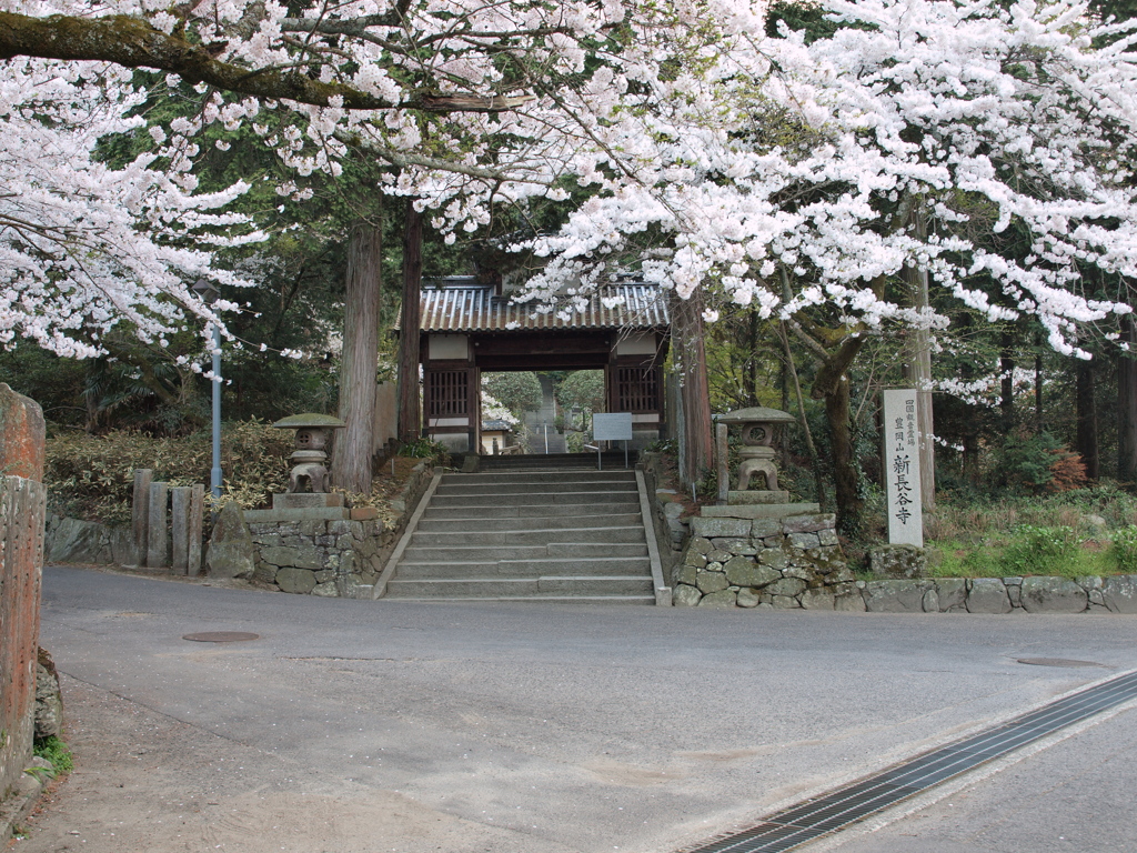 桜門