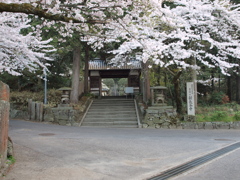桜門