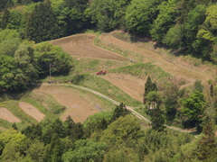 土佐天空の郷　伊勢川の棚田